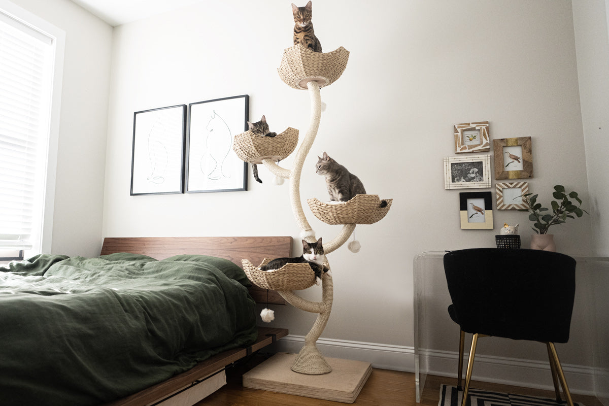 Rapunzel 2024 cat tree