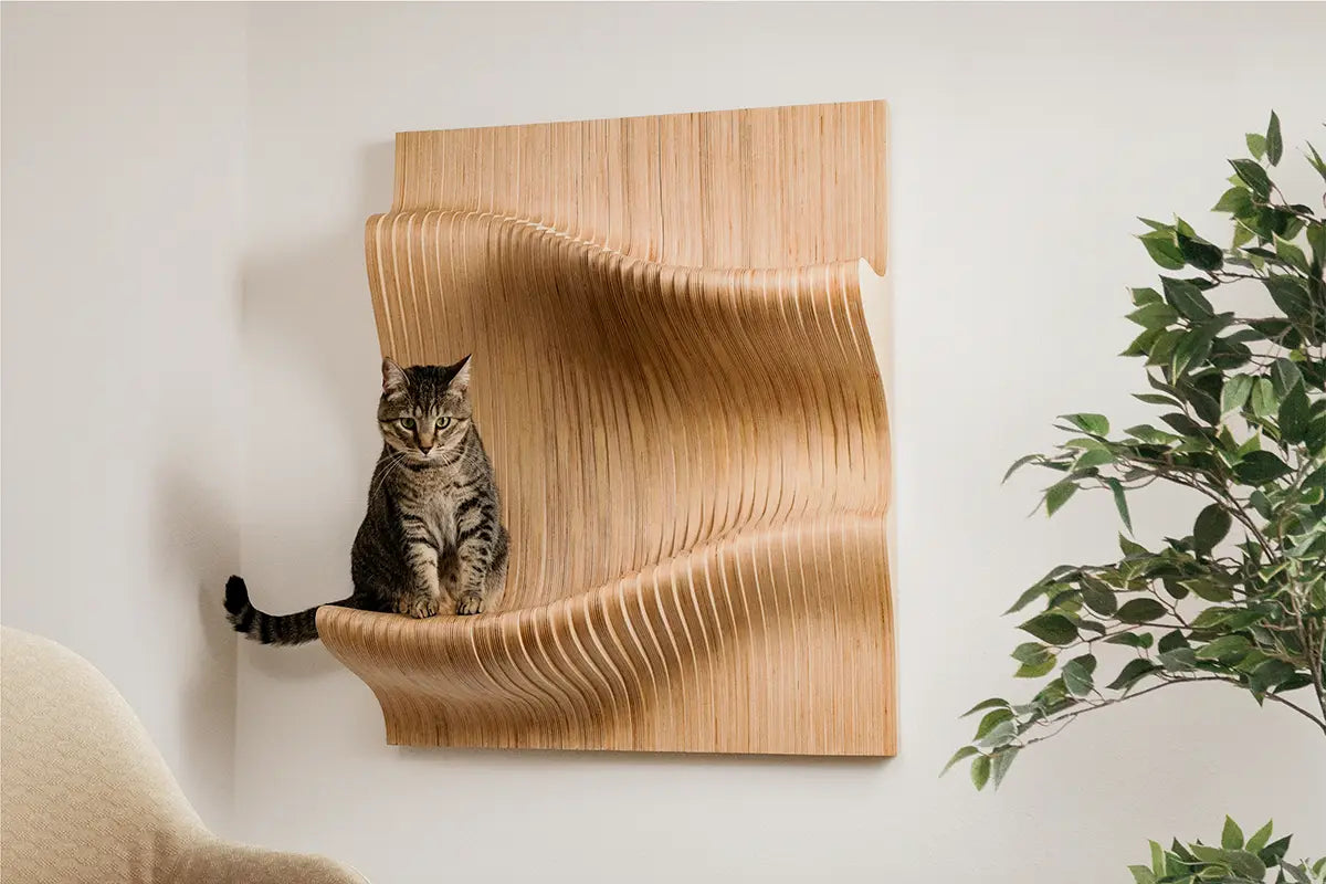 Kitty wall shelves best sale