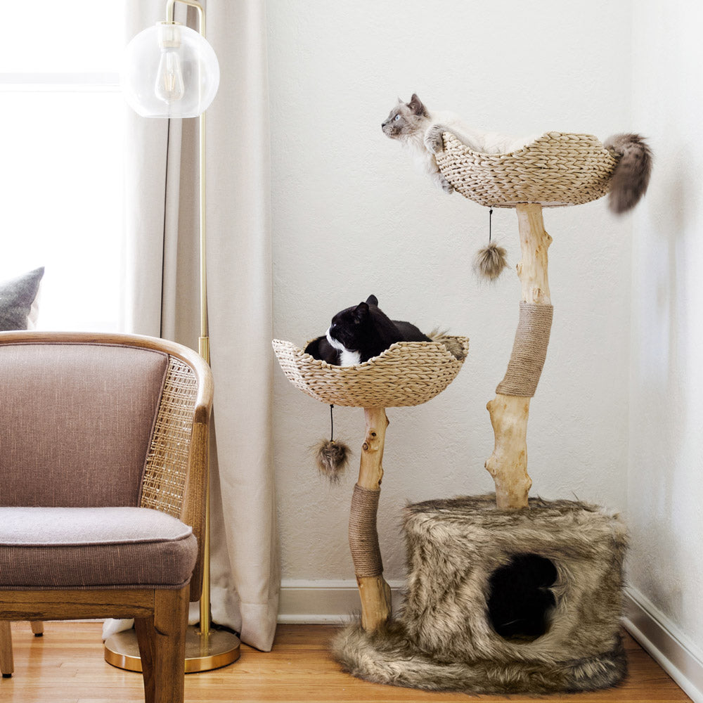 Cat Trees For Large Cats, Wicker Cat Tree, Cat Tree With Basket – Mau