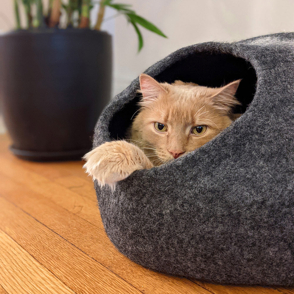 50cm Whale Cat Bed, Cat House Handmade Kitten Cocoon, Wool Felt Cat Cave Pet deals Bed