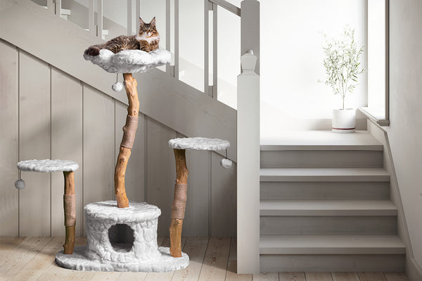 Modern Cat Tree Best Cat Tree Best Cat Towers Luxury Cat Tree Mau