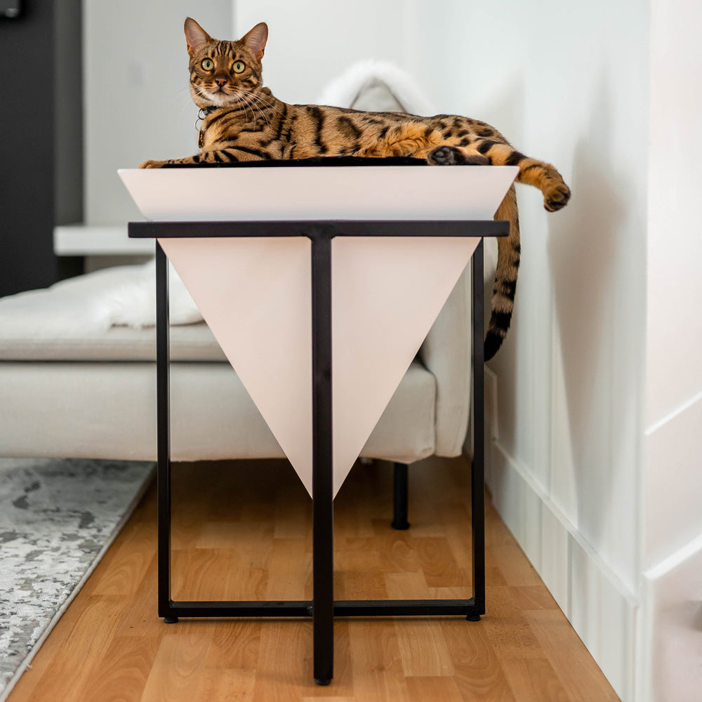 Cat hammock under fashion table